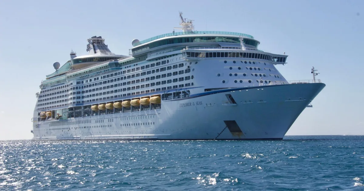 A large white cruise ship at sea under a clear sky, from the shore excursion listing
