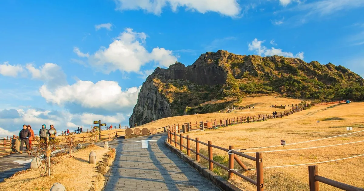 A boardwalk path through golden grass towards the green crater of Seongsan Ilchulbong under a blue sky, from the car charter listing